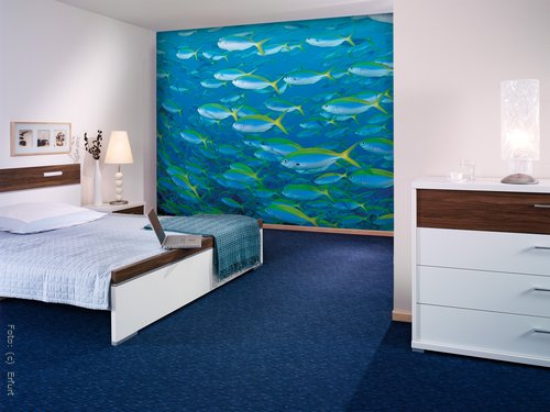 Türkis als beruhigender Solist - Fototapete Fische (Erfurt) Türkis als beruhigender Solist - Fototapete Fische (Erfurt)